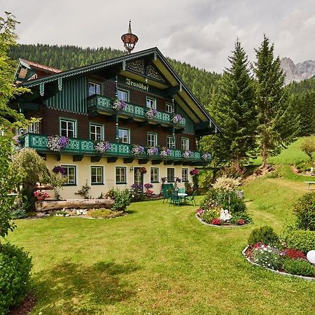 Brandhof Διαμέρισμα Ramsau am Dachstein Εξωτερικό φωτογραφία